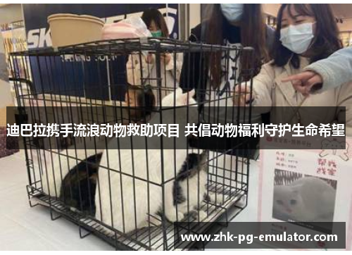 迪巴拉携手流浪动物救助项目 共倡动物福利守护生命希望 迪巴拉携手流浪动物救助项目 共倡动物福利守护生命希望